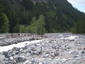 Nisqually River